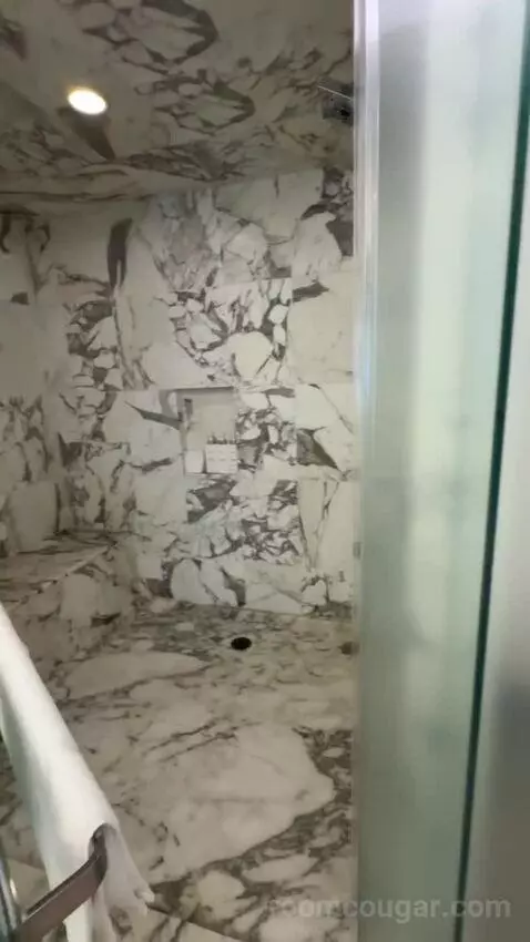 Executive Hospitality Tower Suite bathroom picture #12