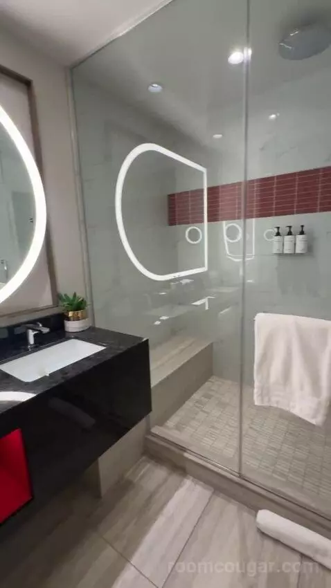 Premium Queen Room with Two Queen Beds and City View bathroom picture #10