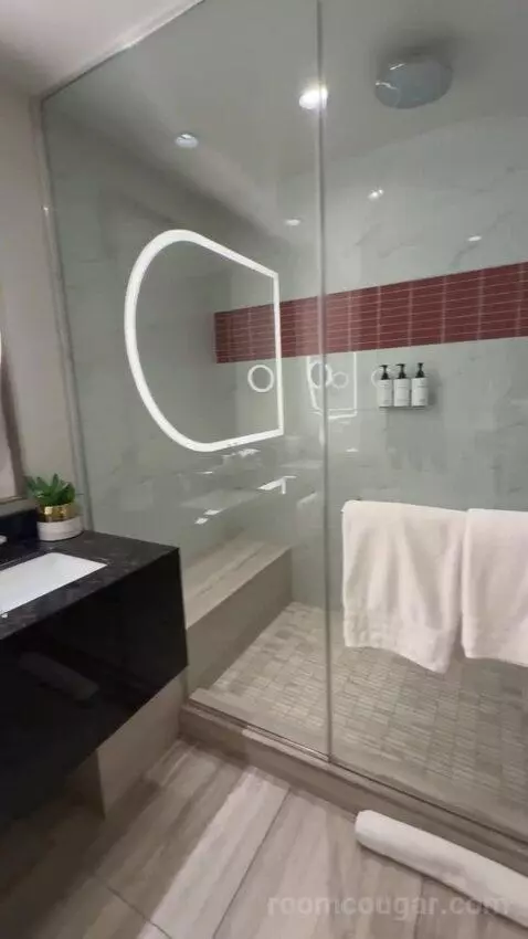 Premium Queen Room with Two Queen Beds and City View bathroom picture #12