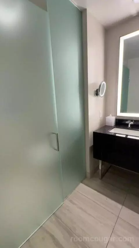 Premium Queen Room with Two Queen Beds and City View bathroom picture #4