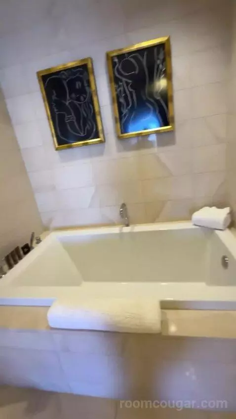 Encore Tower Suite Parlor bathroom picture #5