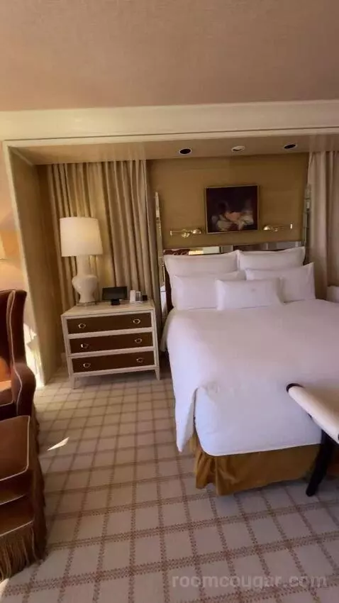 Encore Tower Suite Salon bed picture #1
