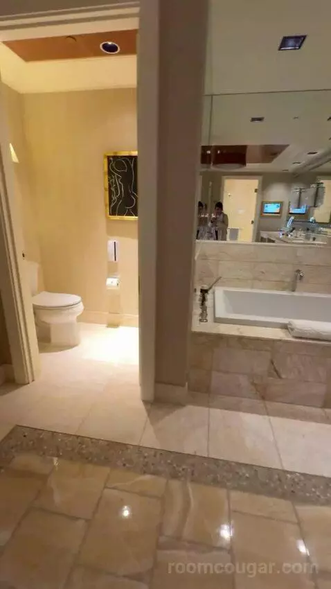 Encore Tower Suite Salon bathroom picture #9