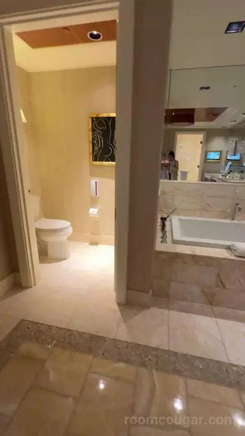 Encore Tower Suite Salon bathroom picture #10