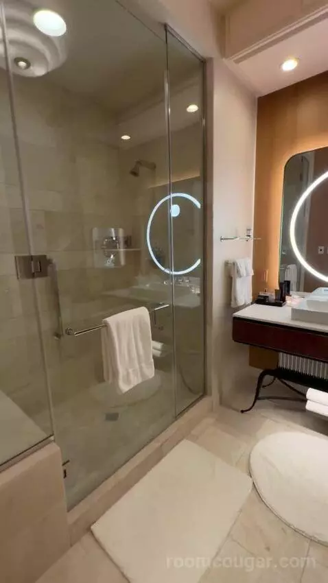Wynn Tower Suite Executive bathroom picture #3