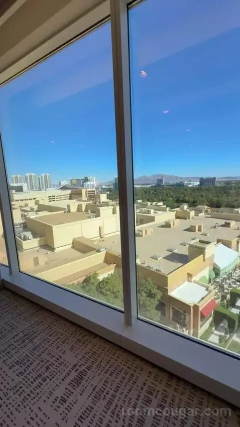 Wynn Tower Suite Executive view picture #1