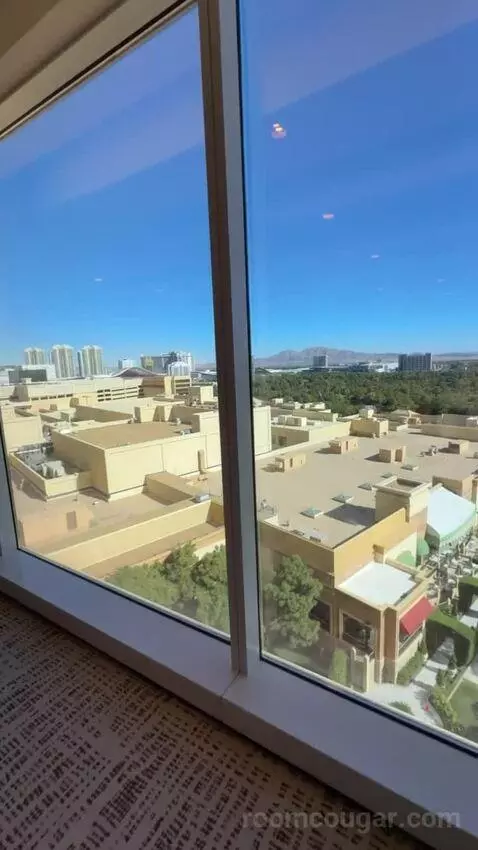 Wynn Tower Suite Executive view picture #2
