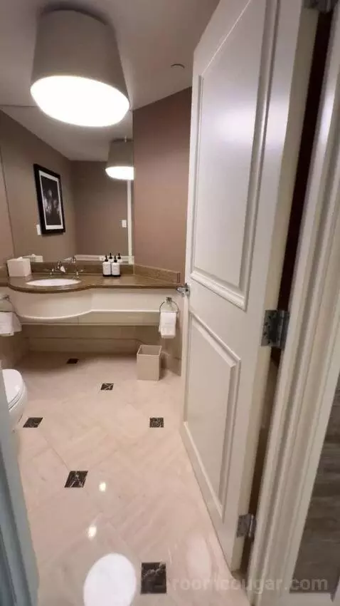 Premier Panoramic Suite - Stadium View bathroom picture #1