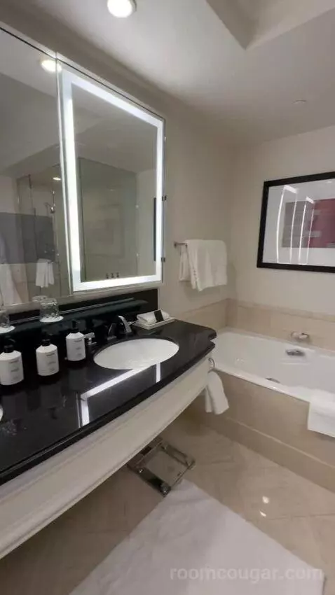 Premier Panoramic Suite - Stadium View bathroom picture #9