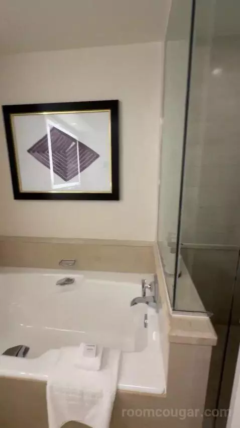 King Room with Strip View bathroom picture #10