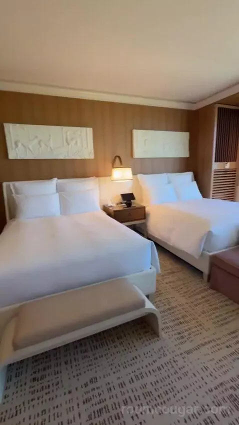 Wynn Resort Two Queens bed picture #5