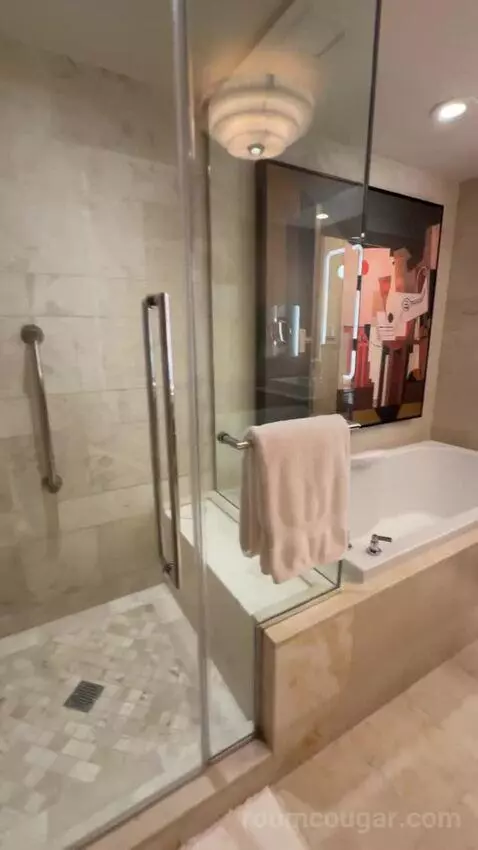 Wynn Resort Two Queens bathroom picture #2