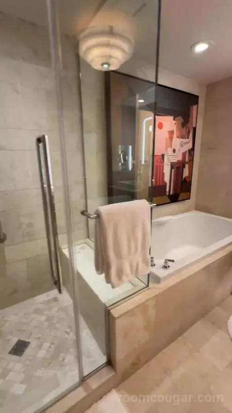 Wynn Resort Two Queens bathroom picture #3