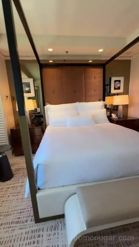 Wynn Tower Suite Salon bed picture #11