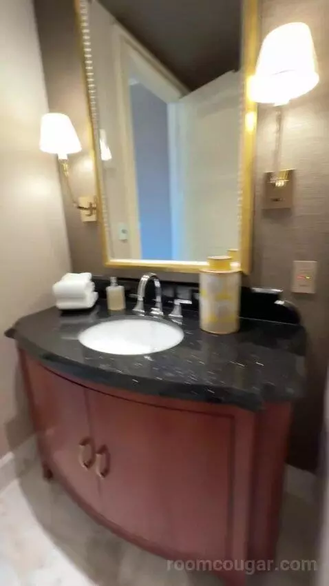 Wynn Tower Suite Salon bathroom picture #1