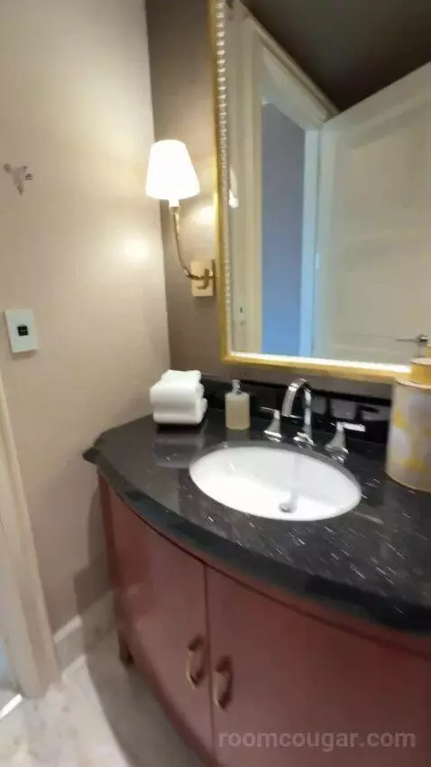 Wynn Tower Suite Salon bathroom picture #3