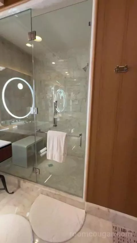 Wynn Tower Suite Salon bathroom picture #7