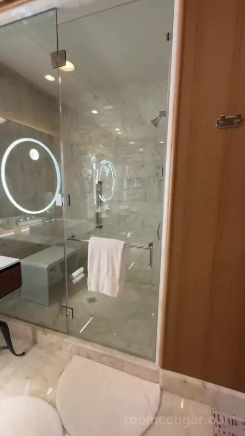 Wynn Tower Suite Salon bathroom picture #8