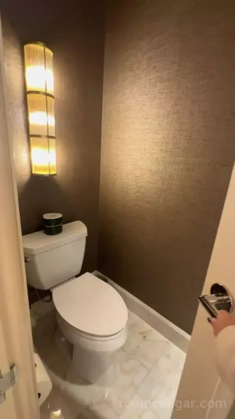 Wynn Tower Suite Salon bathroom picture #12