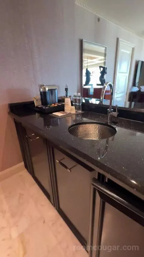 Wynn Tower Suite Salon bathroom picture #4