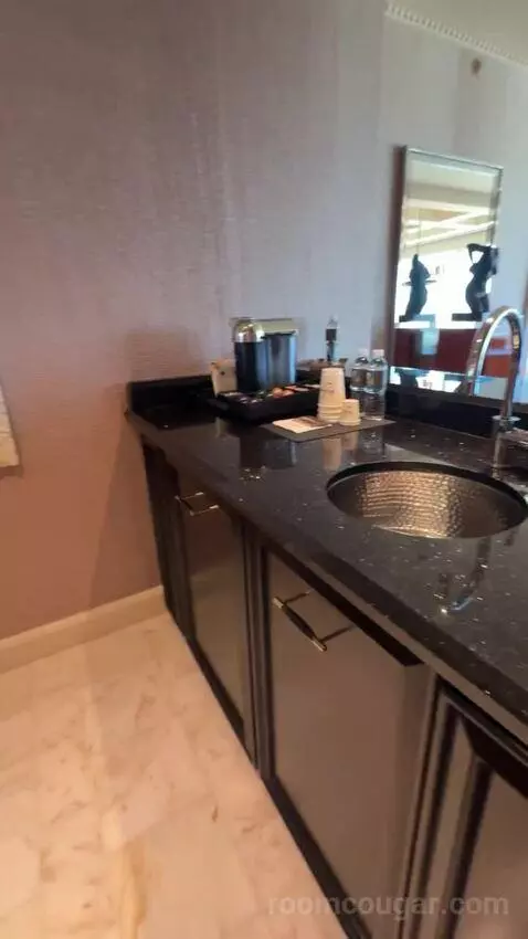 Wynn Tower Suite Salon bathroom picture #6