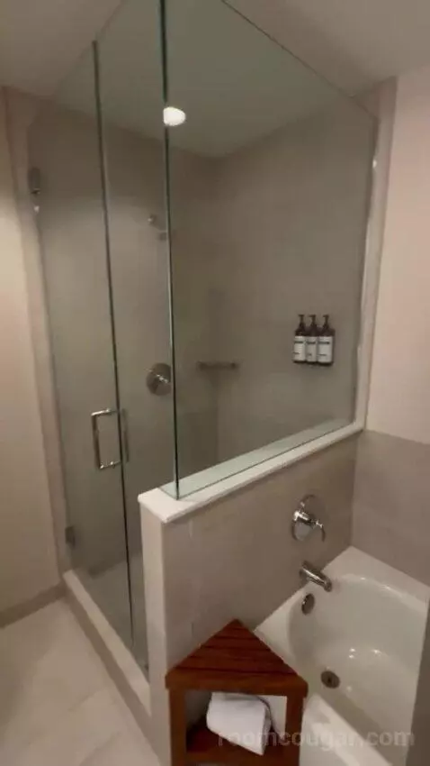 Patio Suite bathroom picture #4
