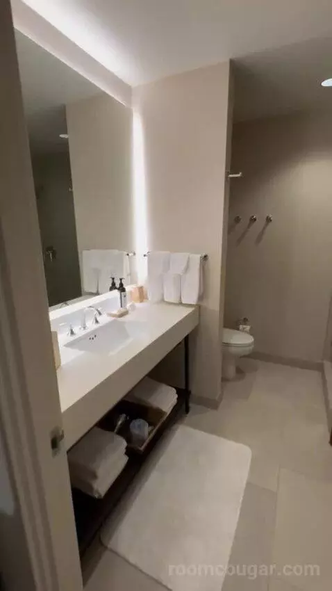 Jr Suite bathroom picture #1