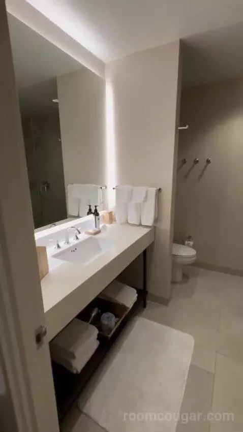 Jr Suite bathroom picture #2