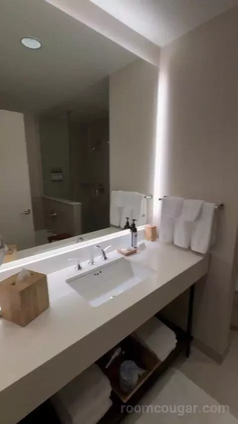 Jr Suite bathroom picture #4