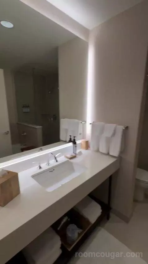 Jr Suite bathroom picture #5