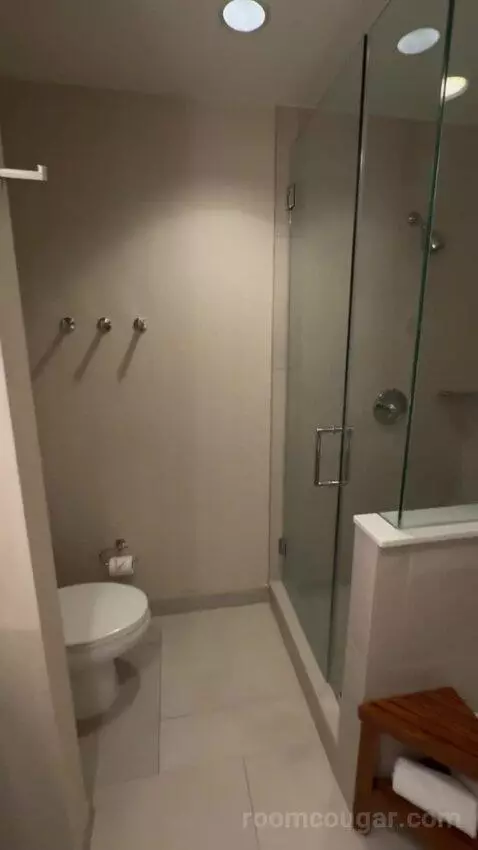 Jr Suite bathroom picture #7