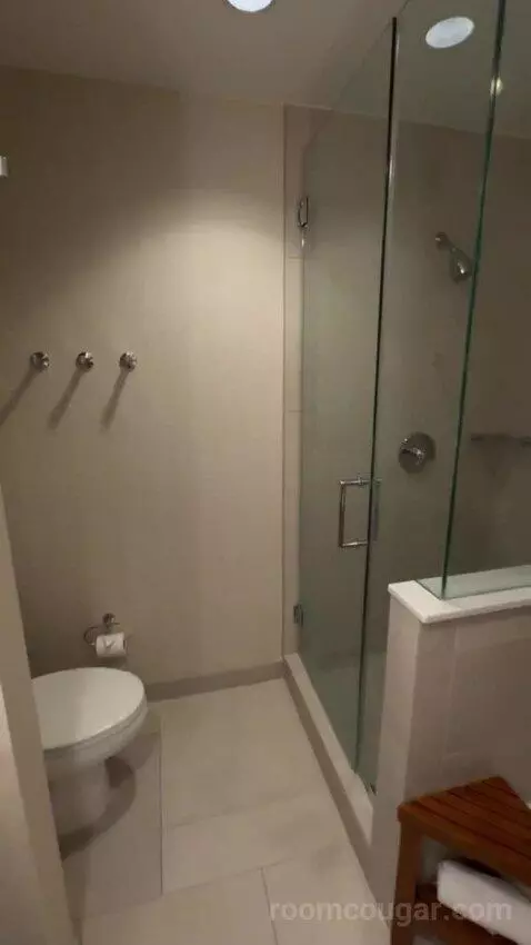 Jr Suite bathroom picture #8