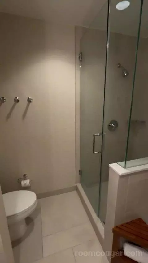 Jr Suite bathroom picture #9