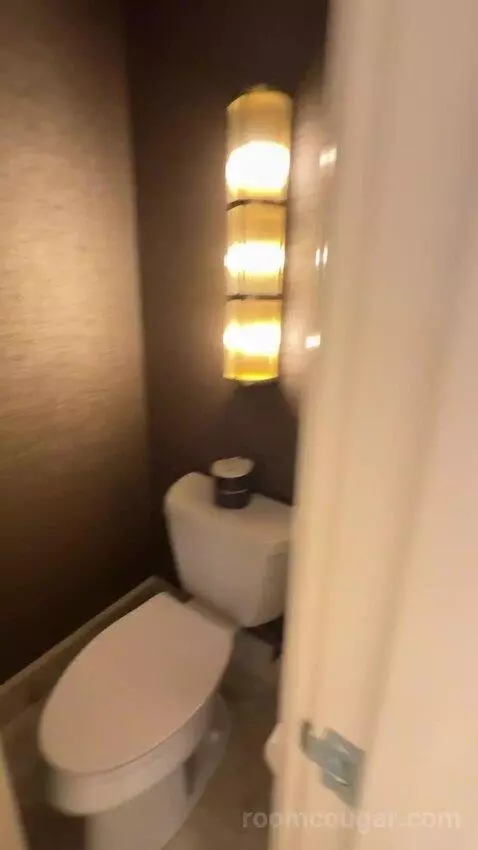 Wynn Tower Suite Parlor bathroom picture #6