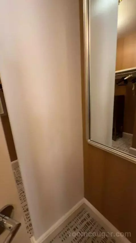Wynn Tower Suite Parlor bathroom picture #7