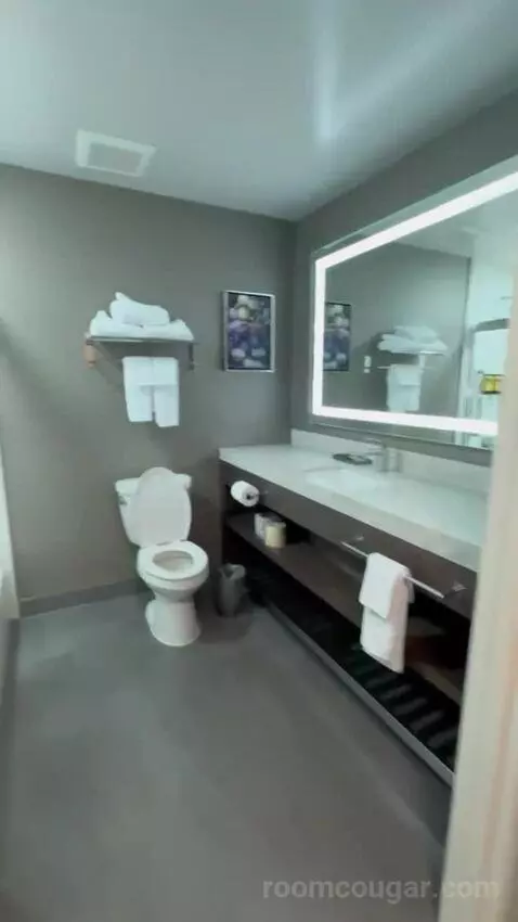 King Suite bathroom picture #1