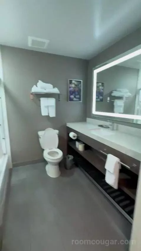 King Suite bathroom picture #2