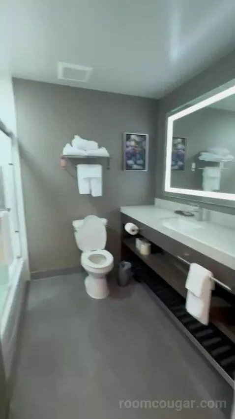 King Suite bathroom picture #3