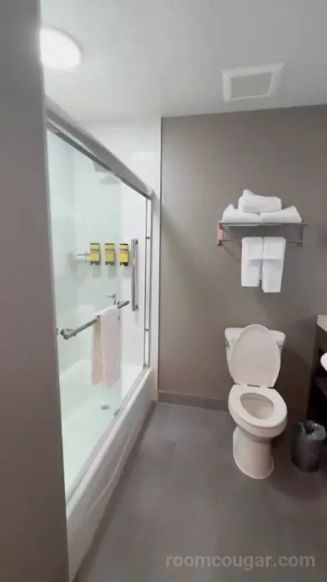 King Suite bathroom picture #4