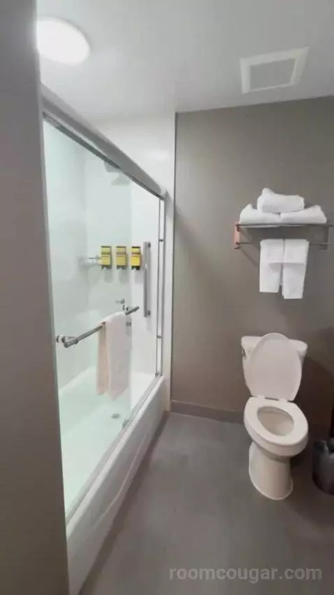 King Suite bathroom picture #6