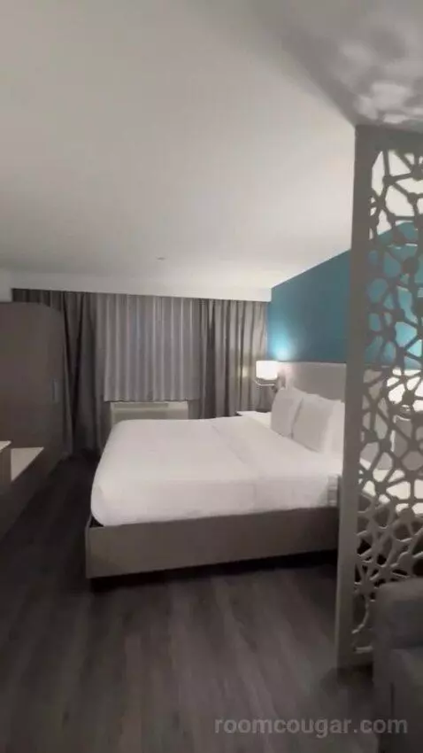 King Suite bed picture #4