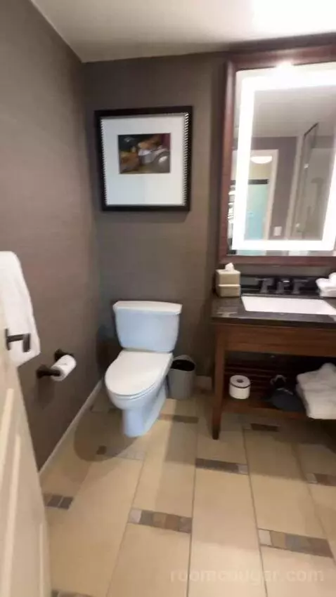 Wrangler Suite 1 King Bed bathroom picture #1