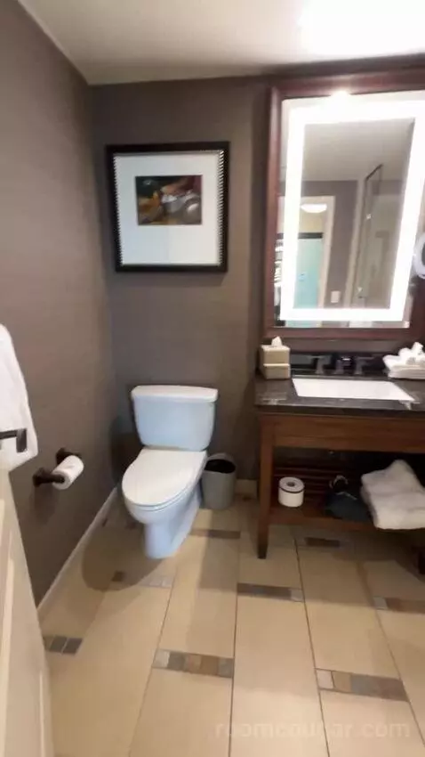 Wrangler Suite 1 King Bed bathroom picture #2