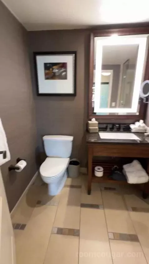 Wrangler Suite 1 King Bed bathroom picture #3