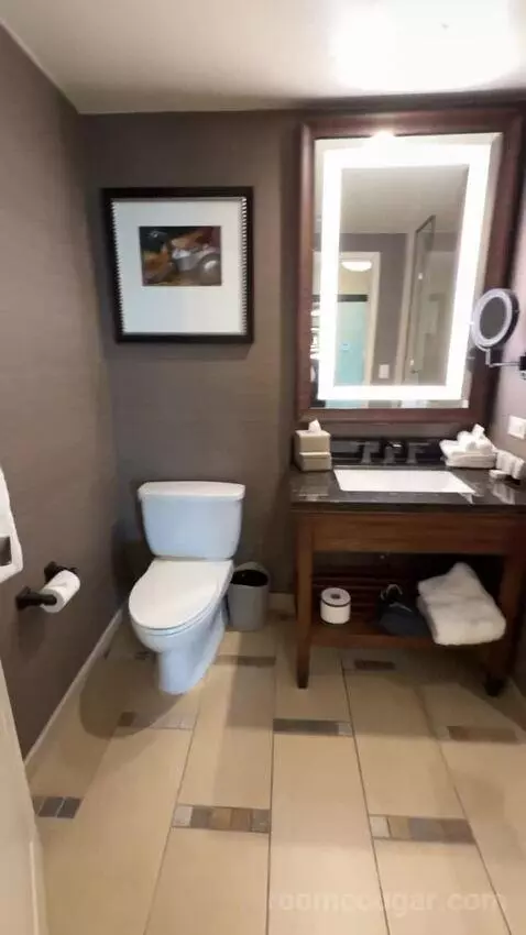 Wrangler Suite 1 King Bed bathroom picture #4