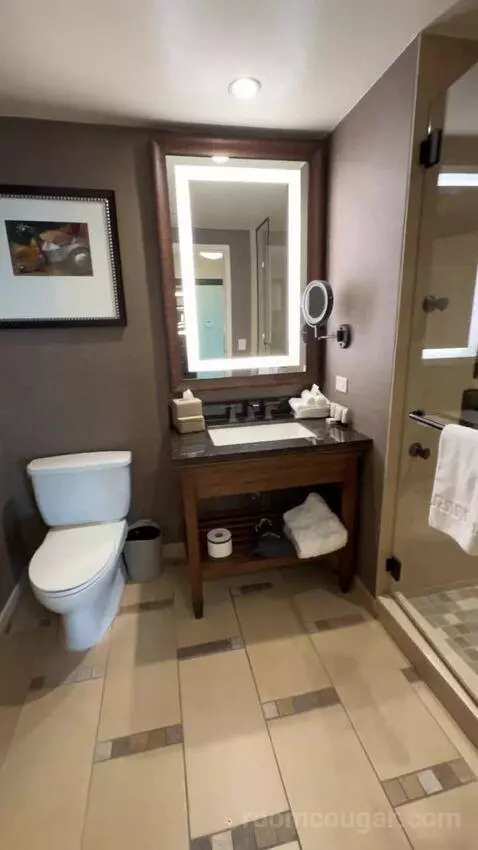 Wrangler Suite 1 King Bed bathroom picture #5