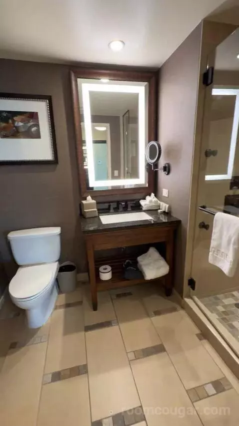 Wrangler Suite 1 King Bed bathroom picture #6