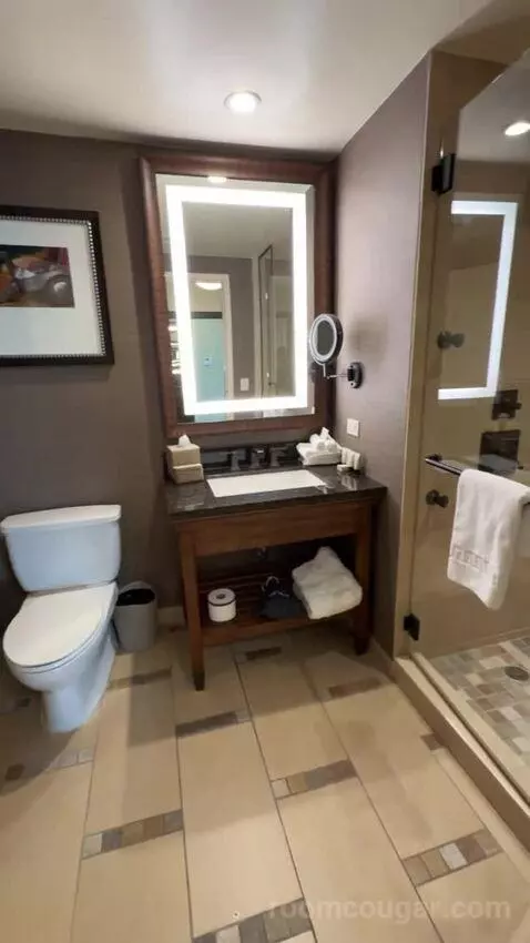 Wrangler Suite 1 King Bed bathroom picture #7