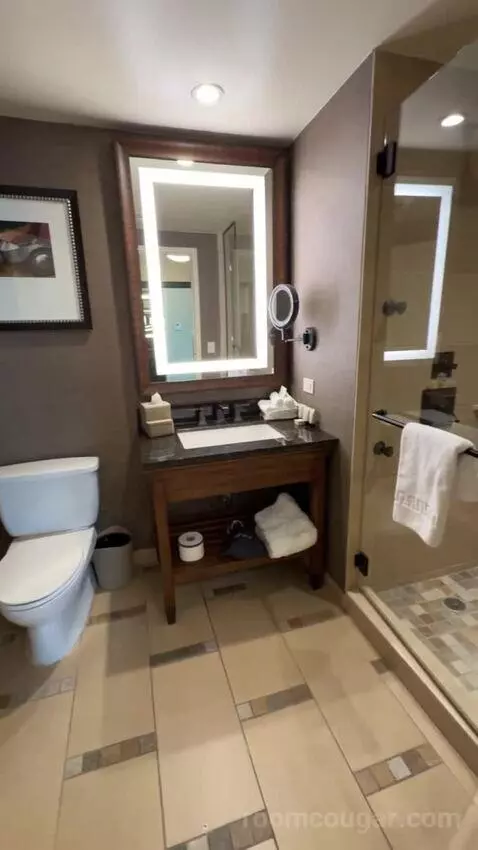 Wrangler Suite 1 King Bed bathroom picture #8