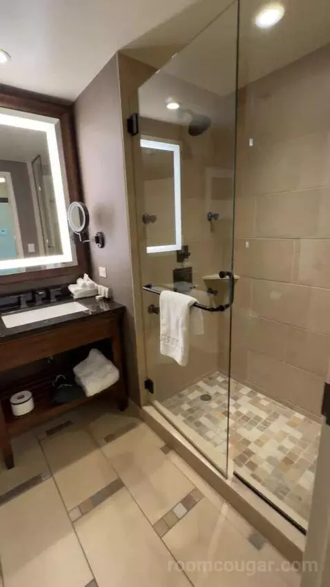 Wrangler Suite 1 King Bed bathroom picture #9